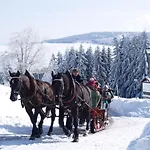 Hotel-Gasthof Rotgiesserhaus
